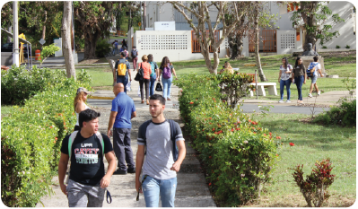 Estudiantes caminando por los senderos arbolados y jardines del campus de la Universidad de Puerto Rico en Cayey, en un día soleado. Se observan varios jóvenes con mochilas transitando entre áreas verdes con arbustos y flores rojas, con edificios universitarios de fondo.