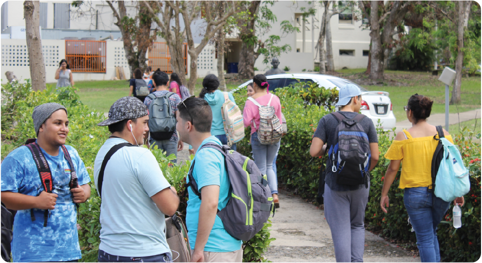 Grupos de estudiantes caminando por un área verde del campus con mochilas, conversando entre clases.